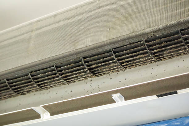 Best Air Duct Cleaning Company Near Me  in Athens, GA